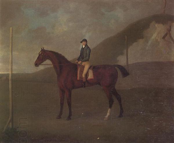 John Nost Sartorius 'Creeper' a Bay colt with Jockey up at the Starting post at the Running Gap in the Devils Ditch,Newmarket China oil painting art